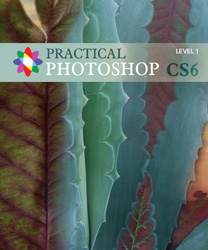 Practical Photoshop CS6, Level 1